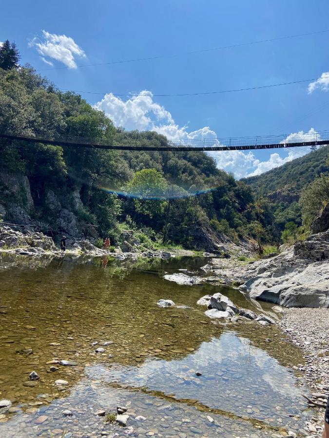 La Frigoule, Un Gite Au Coeur Du Parc Des Cevennes Generargues Exterior foto